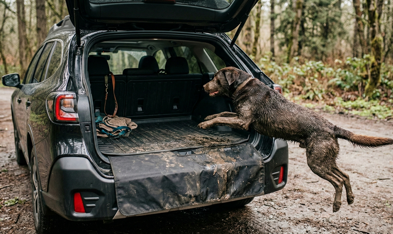 Best Machine Washable Pet Car Mats (2026): Top Picks for Messy Dogs
