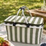 striped insulated picnic cooler basket on outdoor picnic blanket with fruit in a sunny park setting